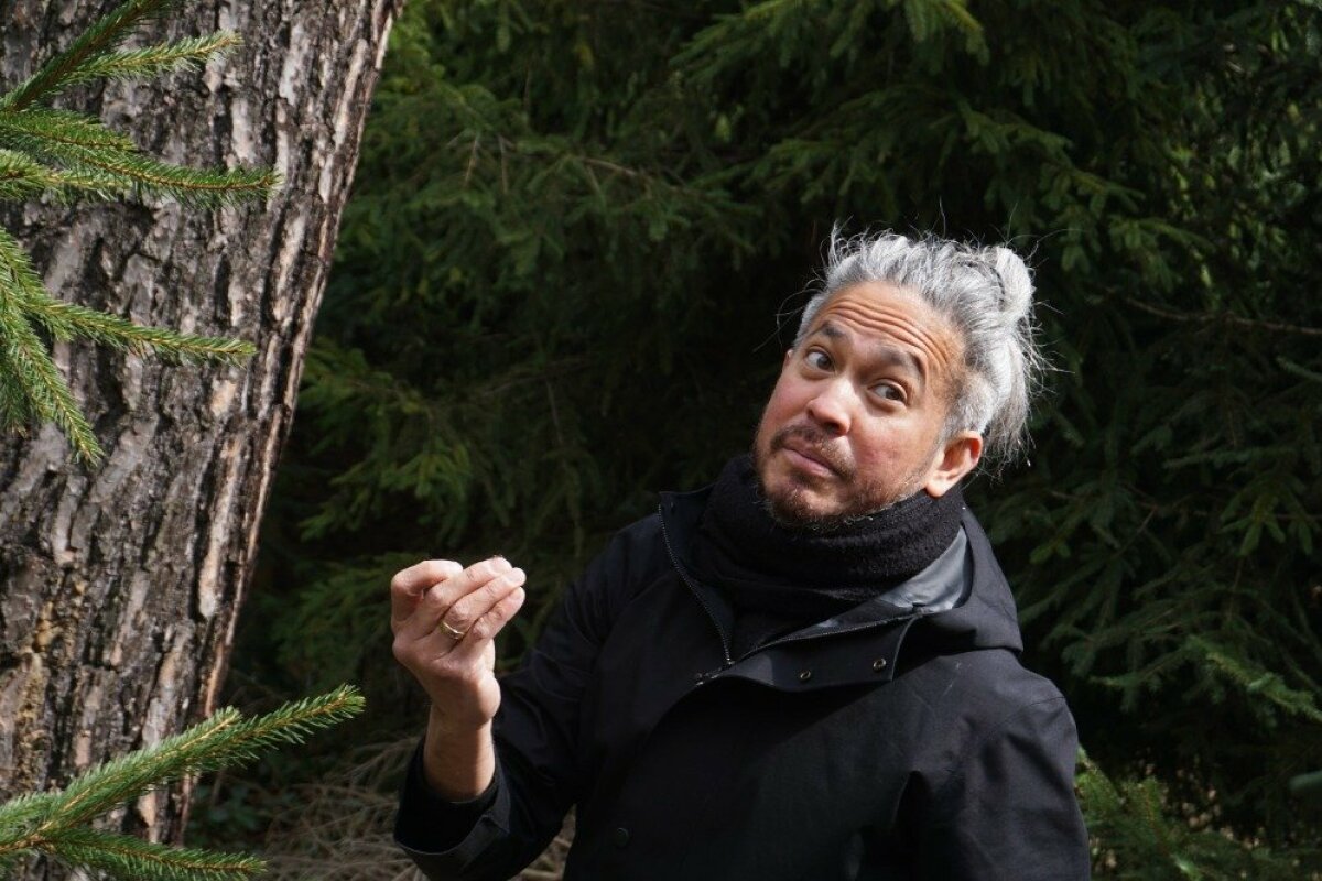 Polylog about ants and bio-art